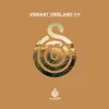 Various Artists - Vibrant Vibeland #11